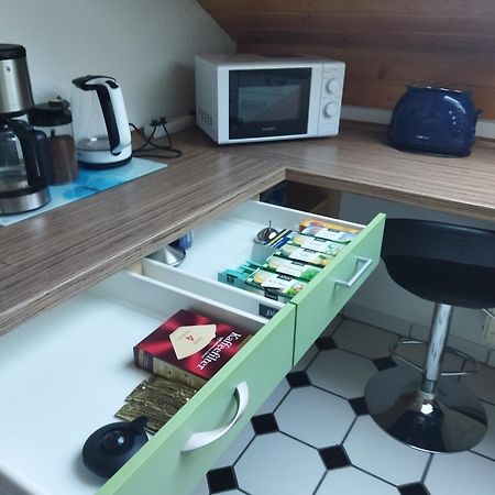 Aussergewoehnliche Atelierferienwohnung Mit Balkon An Der Donau Winzer المظهر الخارجي الصورة