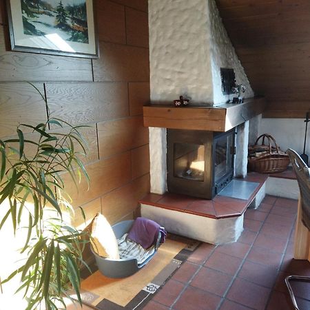 Aussergewoehnliche Atelierferienwohnung Mit Balkon An Der Donau Winzer المظهر الخارجي الصورة