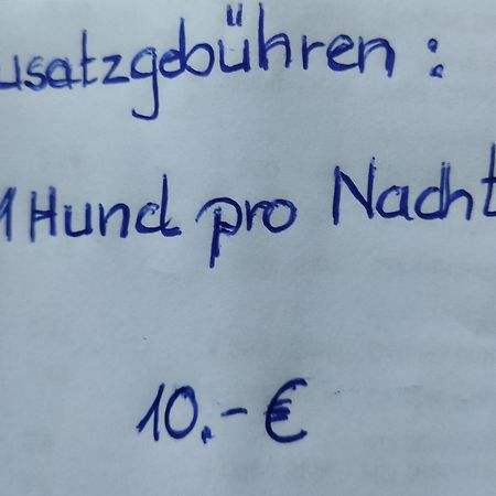 Aussergewoehnliche Atelierferienwohnung Mit Balkon An Der Donau Winzer المظهر الخارجي الصورة