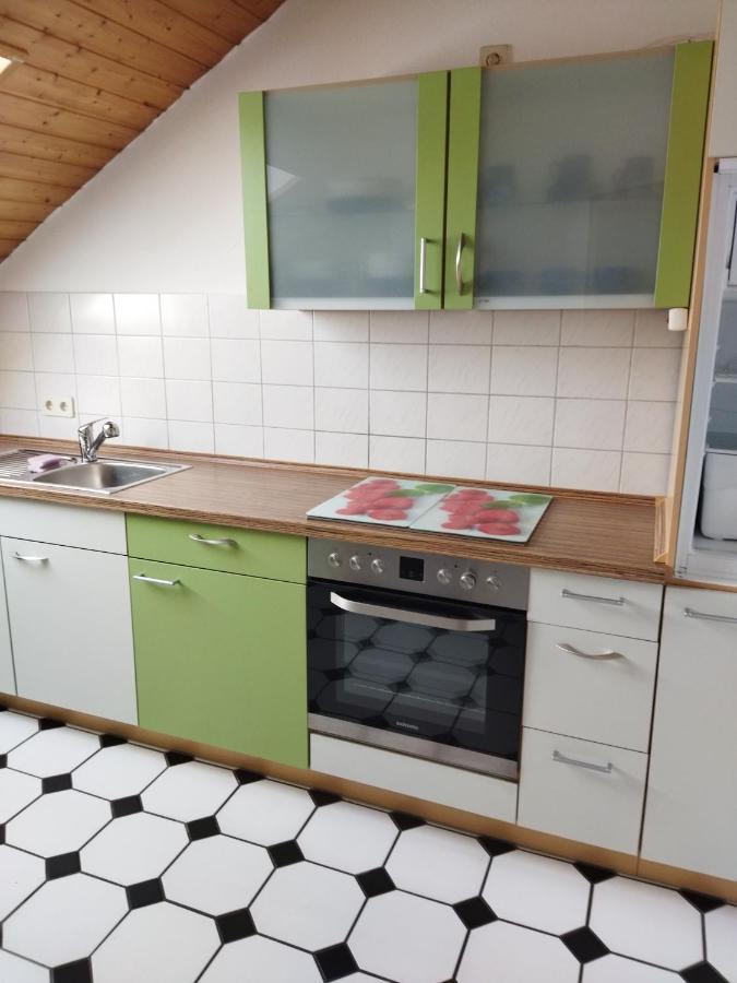 Aussergewoehnliche Atelierferienwohnung Mit Balkon An Der Donau Winzer المظهر الخارجي الصورة