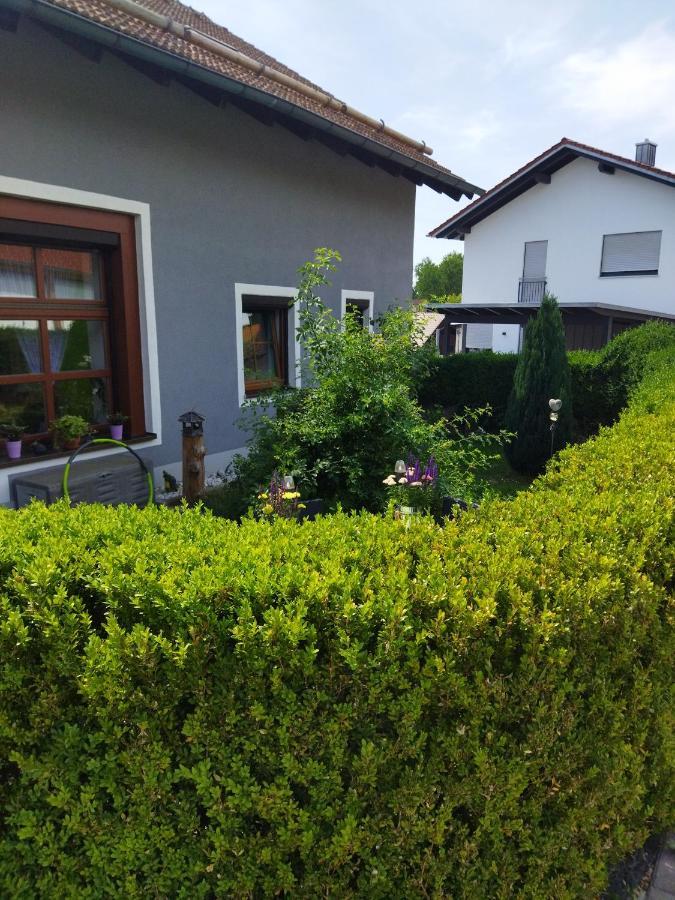Aussergewoehnliche Atelierferienwohnung Mit Balkon An Der Donau Winzer المظهر الخارجي الصورة
