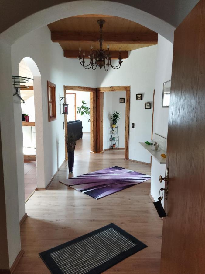 Aussergewoehnliche Atelierferienwohnung Mit Balkon An Der Donau Winzer المظهر الخارجي الصورة