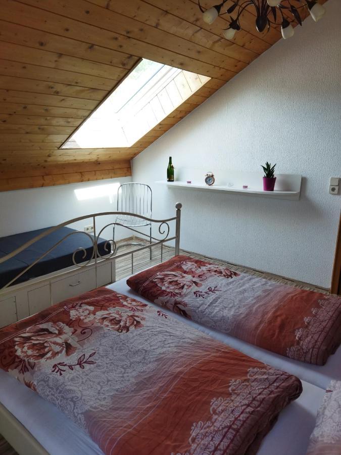 Aussergewoehnliche Atelierferienwohnung Mit Balkon An Der Donau Winzer المظهر الخارجي الصورة