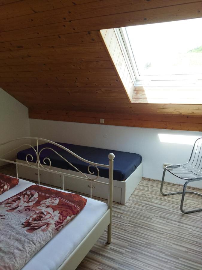 Aussergewoehnliche Atelierferienwohnung Mit Balkon An Der Donau Winzer المظهر الخارجي الصورة