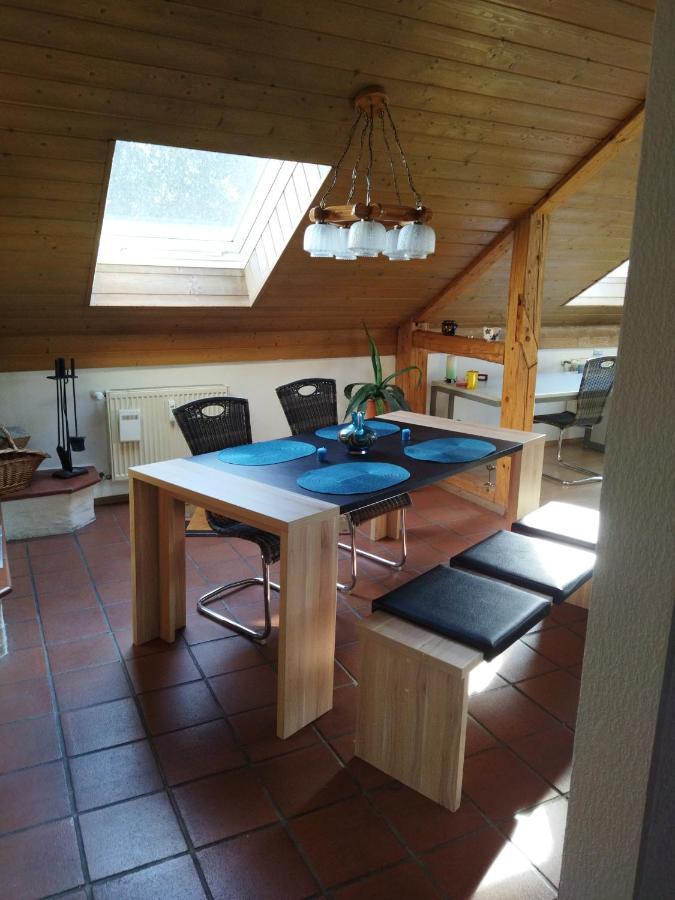 Aussergewoehnliche Atelierferienwohnung Mit Balkon An Der Donau Winzer المظهر الخارجي الصورة