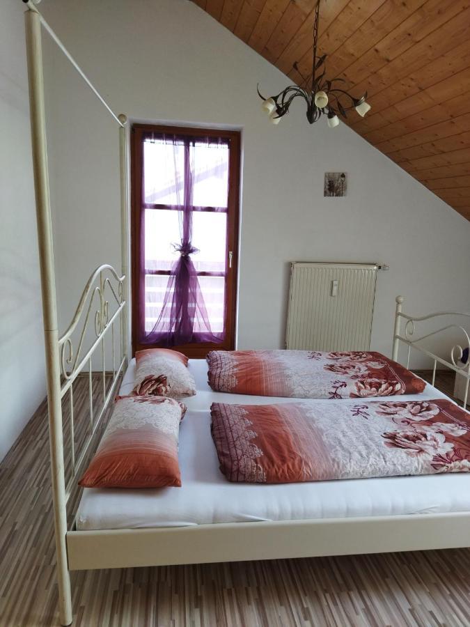 Aussergewoehnliche Atelierferienwohnung Mit Balkon An Der Donau Winzer المظهر الخارجي الصورة