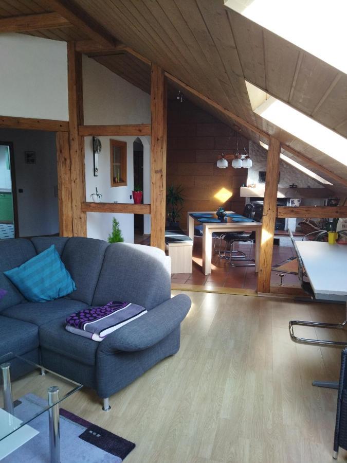 Aussergewoehnliche Atelierferienwohnung Mit Balkon An Der Donau Winzer المظهر الخارجي الصورة