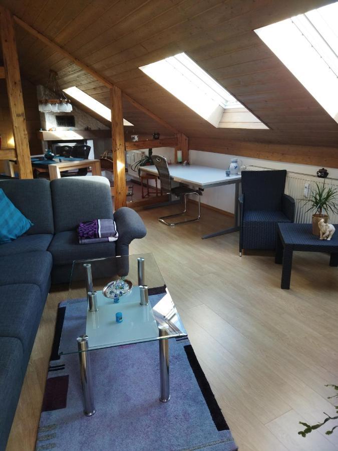 Aussergewoehnliche Atelierferienwohnung Mit Balkon An Der Donau Winzer المظهر الخارجي الصورة