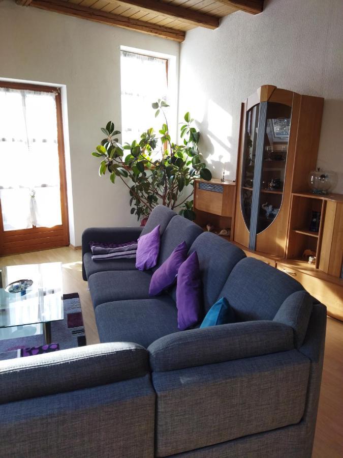 Aussergewoehnliche Atelierferienwohnung Mit Balkon An Der Donau Winzer المظهر الخارجي الصورة