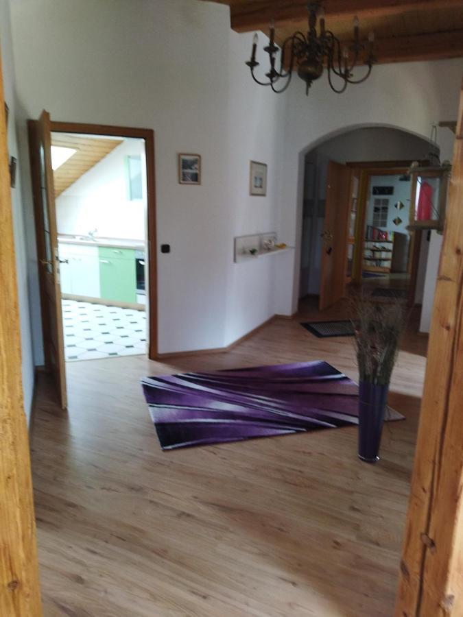 Aussergewoehnliche Atelierferienwohnung Mit Balkon An Der Donau Winzer المظهر الخارجي الصورة