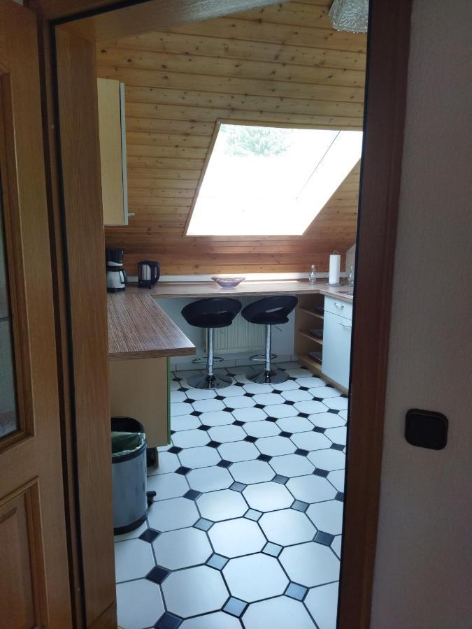 Aussergewoehnliche Atelierferienwohnung Mit Balkon An Der Donau Winzer المظهر الخارجي الصورة