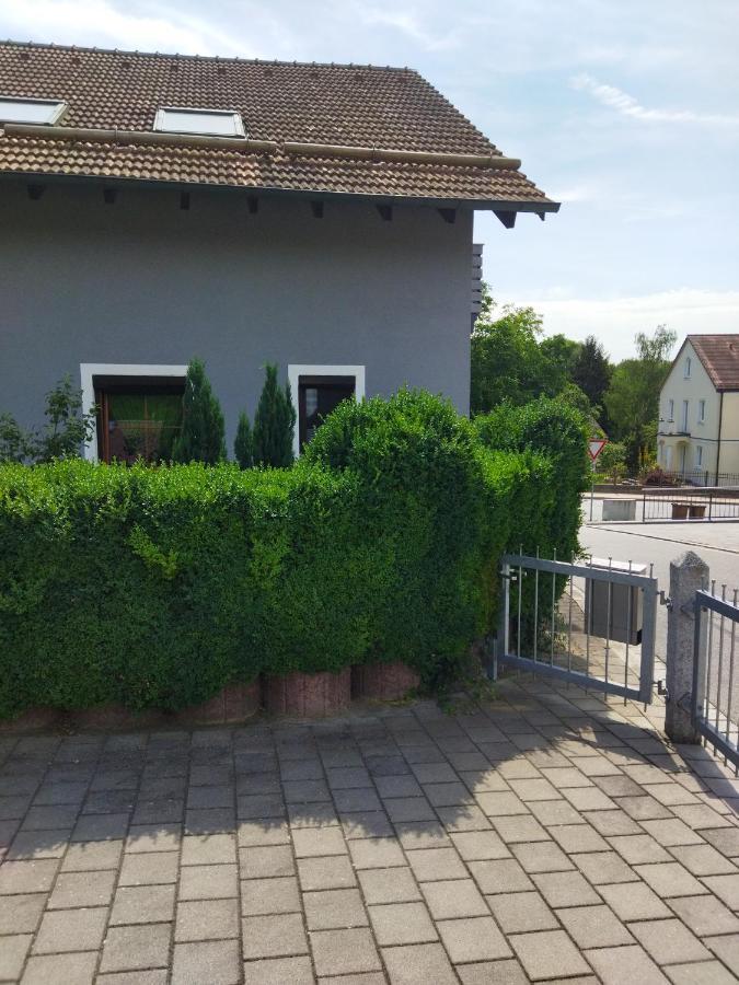 Aussergewoehnliche Atelierferienwohnung Mit Balkon An Der Donau Winzer المظهر الخارجي الصورة