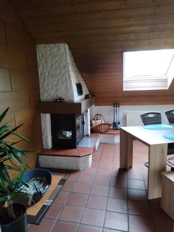 Aussergewoehnliche Atelierferienwohnung Mit Balkon An Der Donau Winzer المظهر الخارجي الصورة