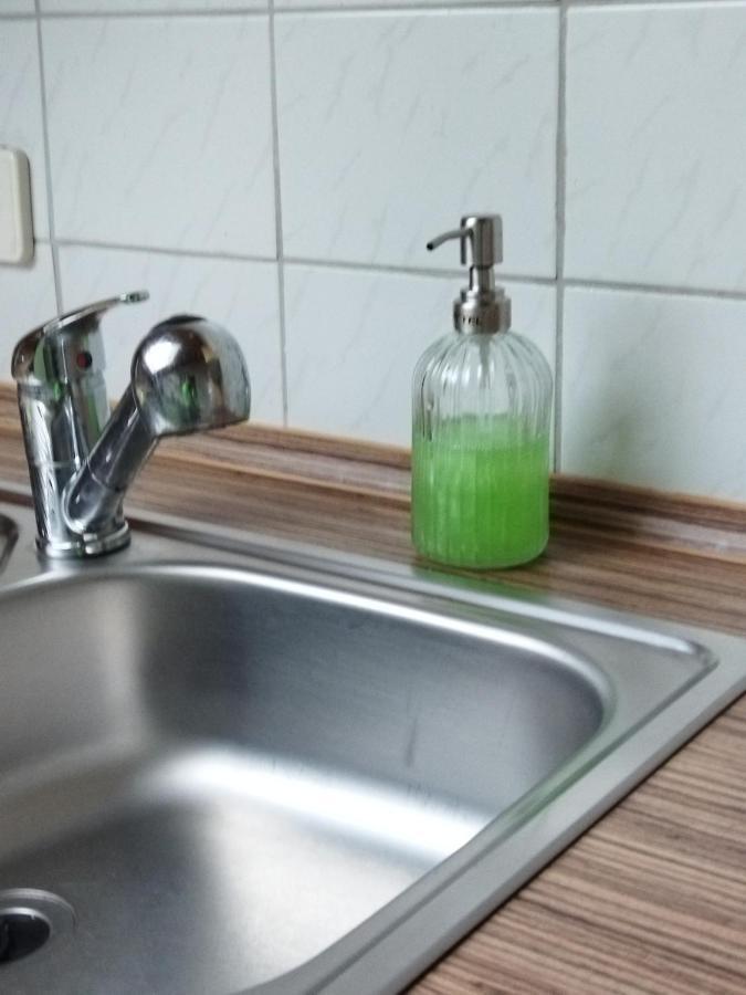 Aussergewoehnliche Atelierferienwohnung Mit Balkon An Der Donau Winzer المظهر الخارجي الصورة