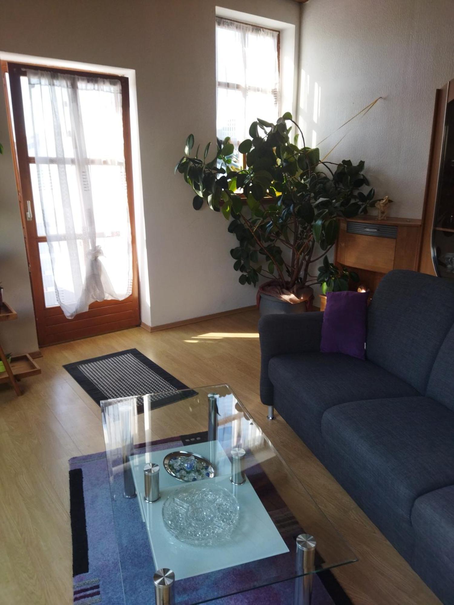 Aussergewoehnliche Atelierferienwohnung Mit Balkon An Der Donau Winzer المظهر الخارجي الصورة