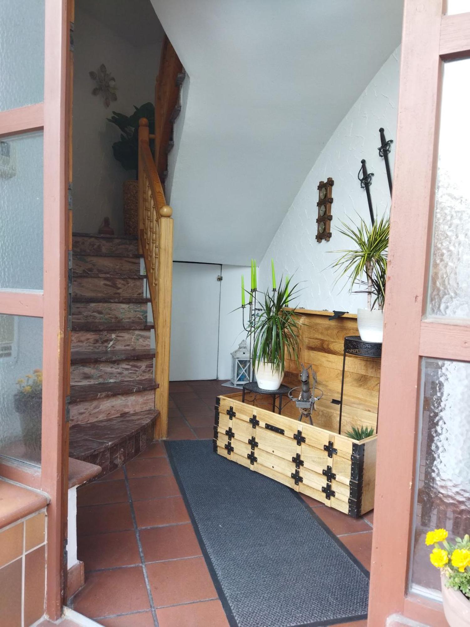 Aussergewoehnliche Atelierferienwohnung Mit Balkon An Der Donau Winzer المظهر الخارجي الصورة